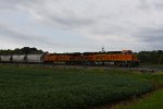 BNSF 8321 Roster shot